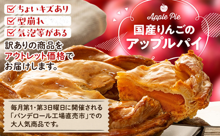 アップルパイ 訳あり 国産りんご アップルパイ スイーツ