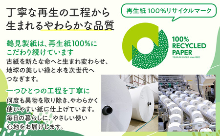 トイレットペーパー 定期便 【 初回発送：2026年3月 】 ﾀﾞﾌﾞﾙ ブルーベリー 年 3 回 4 ヶ月毎 ﾄｲﾚｯﾄ