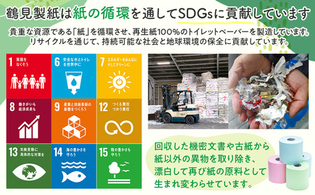 定期便 【 初回発送：2026年3月 】 トイレットペーパー 年 2 回 6 ヶ月毎 トイレットペーパー ダブル ブルーベリー 72ロール 12ロール 6パック 鶴見製紙 沼津