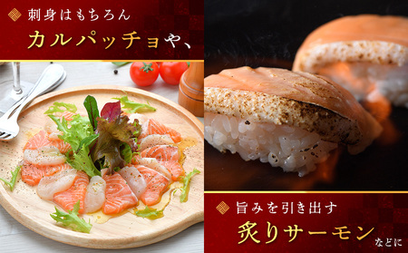 サーモン 800g 柵 サーモン