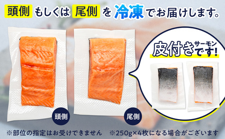 サーモン 800g 柵 サーモン