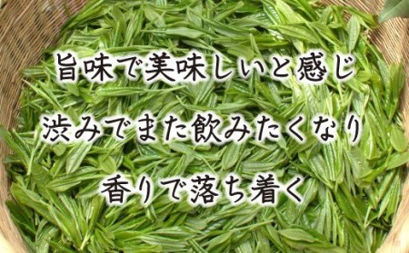 お茶 緑茶 茶葉 お茶 緑茶 お茶 愛鷹山のお茶 100g 5袋 お茶 煎茶 セットお茶 緑茶