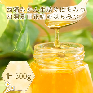 はちみつ 100g 3本 セット 蜂蜜 西浦 みかん 蜂蜜 純粋 はちみつ セット 採れたて はちみつ 