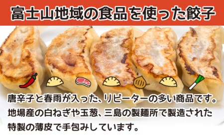 【価格改定予定】餃子 ギョウザ 5個 8パック セット ピリ辛 具だくさん 無添加 冷凍