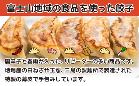 ギョウザ 5個 8パック セット ピリ辛 餃子 ギョウザ