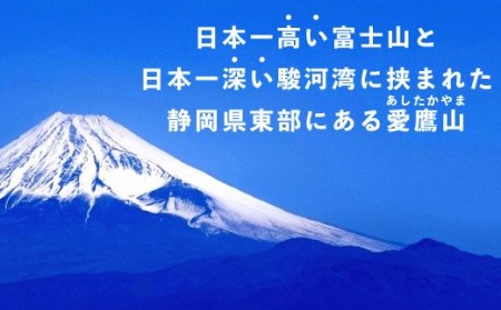 茶葉 ほうじ茶 50g 6袋セット お茶 静岡 国産 ギフトお中元 贈答用 ギフト用