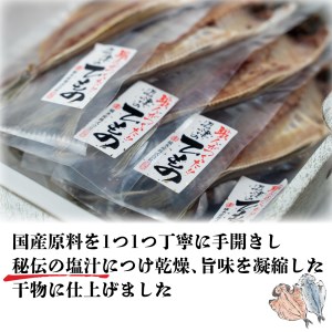 干物 真あじ 8枚 セット 干物