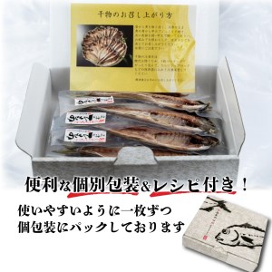 干物 真あじ 8枚 セット 干物