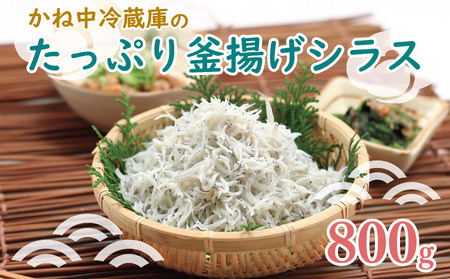 しらす たっぷり 釜揚げシラス 1kg 天然 国産 駿河湾 干物 送料無料 しらす干し 1kg 