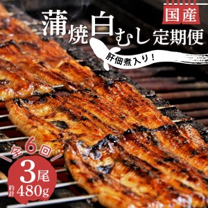 定期便 年 6回 うなぎ 鰻 蒲焼 国産 2尾 白むし 1尾 480g 肝 佃煮 1袋