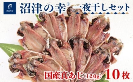 【価格改定予定】干物 魚 一夜干し 沼津の幸 真あじ 120g 10枚 セット 真鯵 (A) 【干物 ひもの 魚 干物 ひもの 一夜干し 干物 ひもの 沼津の幸 干物 ひもの 真あじ 干物 ひもの 120g 干物 ひもの 10枚 干物 ひもの セット 干物 ひもの 真鯵 干物 ひもの】