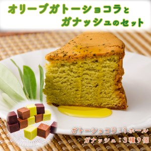 専門店コラボスイーツ オリーブ ガトーショコラ ガナッシュ ケーキ チョコレート ギフト