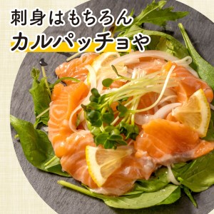 サーモン 計500g サーモン