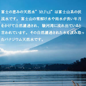 【定期便3ヶ月】ミネラルウォーター 500ml 24本 2箱 48本セット ミネラルウォーター