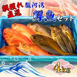 旬 鮮魚 セット 4kg 朝獲れ 沼津 駿河湾 金目鯛 鯵