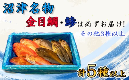 旬 鮮魚 セット 4kg 朝獲れ 沼津 駿河湾 金目鯛 鯵