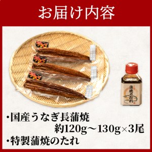 国産 うなぎ 蒲焼 3尾 漁協オリジナル 深蒸し 蒲焼き たれ付き 1尾 約120g～130g うなぎうなぎうなぎうなぎ FN-SupportProject