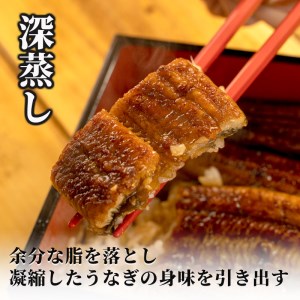 鰻国産 蒲焼 5尾 約計600g 深蒸し うなぎ 沼津 鰻