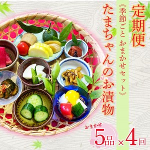 漬物 定期便 季節ごと 年4回 野菜 漬物 季節野菜 5品