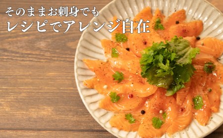 サーモン 600g お刺身 サーモン