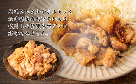 ホルモン味噌ダレ 1.2kg ホルモン