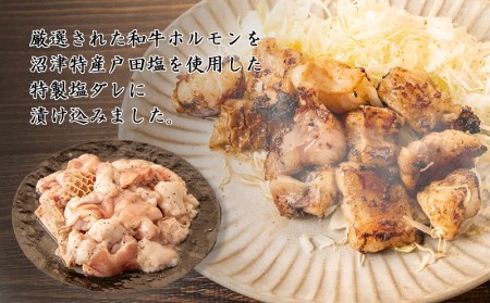 ホルモン 1.2kg 塩ダレホルモン