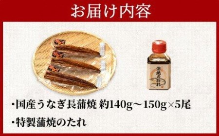 うなぎ 蒲焼 5尾 約700g 国産 うなぎ