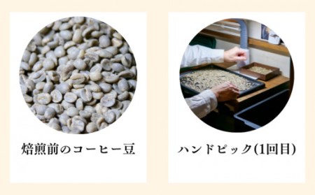 【価格改定予定】今日からあなたも喫茶店のマスター コーヒースターターセット(豆)
