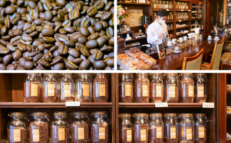 コーヒー豆 スターターセット コーヒー豆