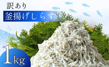 訳あり 釜揚げしらす 1kg 小分け パック 500g 2パック