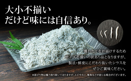 訳あり 釜揚げしらす 1kg 小分け パック 500g 2パック