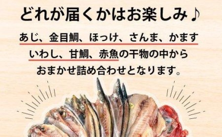 干物 おまかせ 詰め合わせ 9枚 個包装 すずひで おまかせ