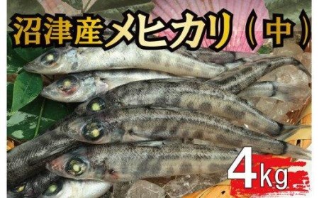 メヒカリ 旬の鮮魚 たっぷり 4kg 小分け 1kg 4パック 冷凍 唐揚げ 一夜干し 静岡県沼津市 ふるさと納税サイト ふるなび