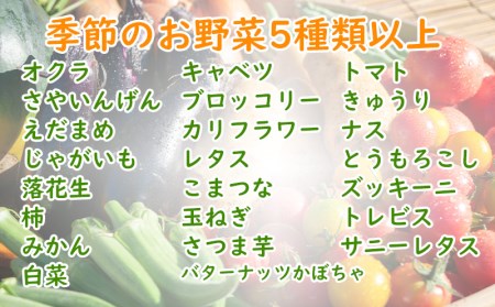 旬 野菜 新鮮 減農薬 5種類 以上 詰め合わせ セット 産地直送 キャベツ