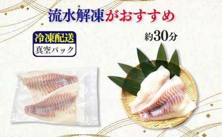 真鯛 刺し身 お刺身 3枚おろし 沼津産 500g 700g 1尾 真空パック