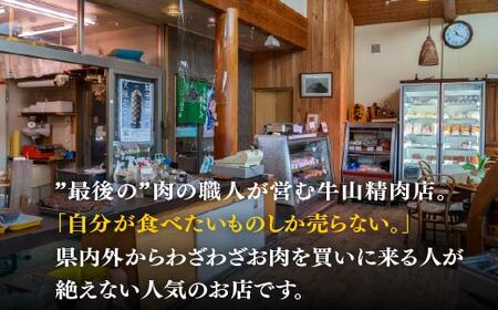 【6か月定期便】 スライス ブロック ベーコン セット 国産 ブロック