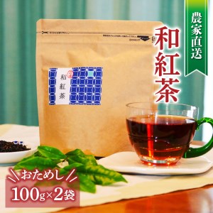 和紅茶 茶葉 100g 2袋 合計200g 農家直送 お試し お茶 茶葉 静岡