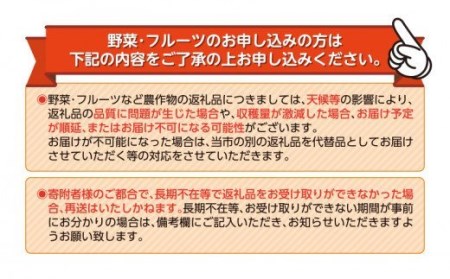 海塩を与えて栽培した 寿太郎みかん 予約受付 1月下旬 順次発送 訳あり 寿太郎 みかん 計 3kg 傷み補償分 200g 含む 西浦 みかん 蜜柑 柑橘 オレンジ 果物 フルーツ 沼津市 静岡県