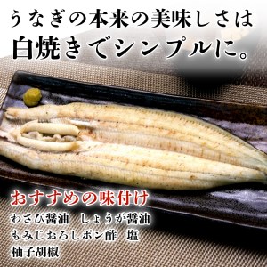国産鰻 白焼き 3尾 うなぎ 沼津 鰻