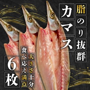 カマス 干物 6枚 国産 カマス