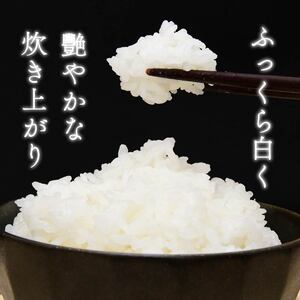 【令和7年産米】 するがの極 5kg 特A