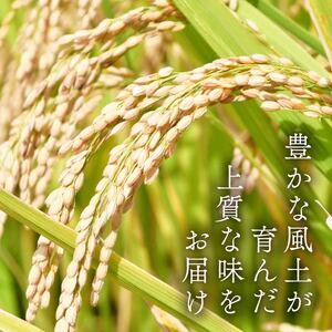 【令和7年産米】 するがの極 5kg 特A