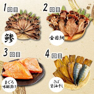 【定期便 年6回】干物 詰め合わせ 干物