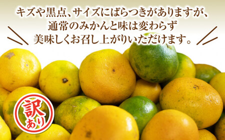 訳あり みかん 黄金柑 3kg 西浦 蜜柑 柑橘 オレンジ 減農薬 木負観光