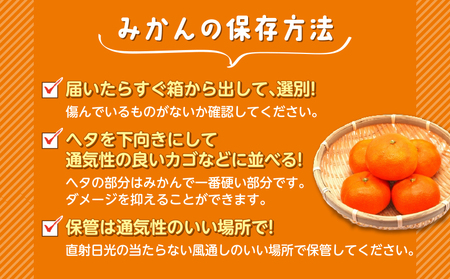 訳あり みかん 黄金柑 3kg 西浦 蜜柑 柑橘 オレンジ 減農薬 木負観光