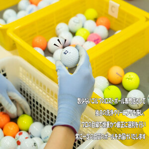 訳あり ゴルフボール ゴルフ 20球 中古 titleist タイトリスト WRランク ゴルフボール