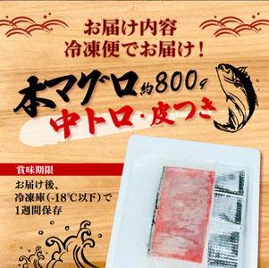 本マグロ 中トロ 800g 刺身 鮪 マグロ 国産 産地直送 