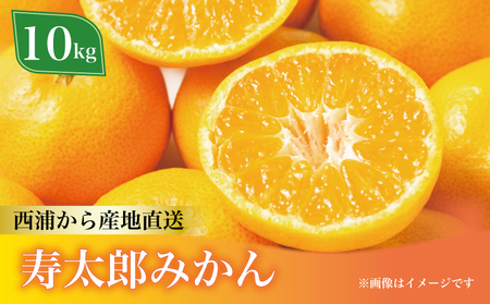 寿太郎 みかん 10kg みかん 柑橘 みかん 貯蔵 みかん 熟成 みかん 濃厚