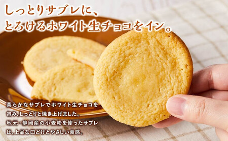 初島ろまんす白20枚