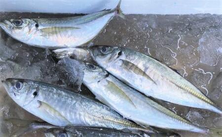 湯けむりくんせい事件(あじ)【10袋入】